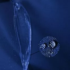 INSTENT "PRO" Seitenteil Mit Fenster, Blau -Günstiges Partyzelte, Pergolas & Pavillons Geschäft 11932401 4