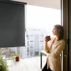 Relaxdays Senkrechtmarkise, 250 X 160 Cm, Sonnen- Und Sichtschutz, Balkon Und Terrasse, Außenrollo Mit Kurbel, Anthrazit -Günstiges Partyzelte, Pergolas & Pavillons Geschäft 31824762 4